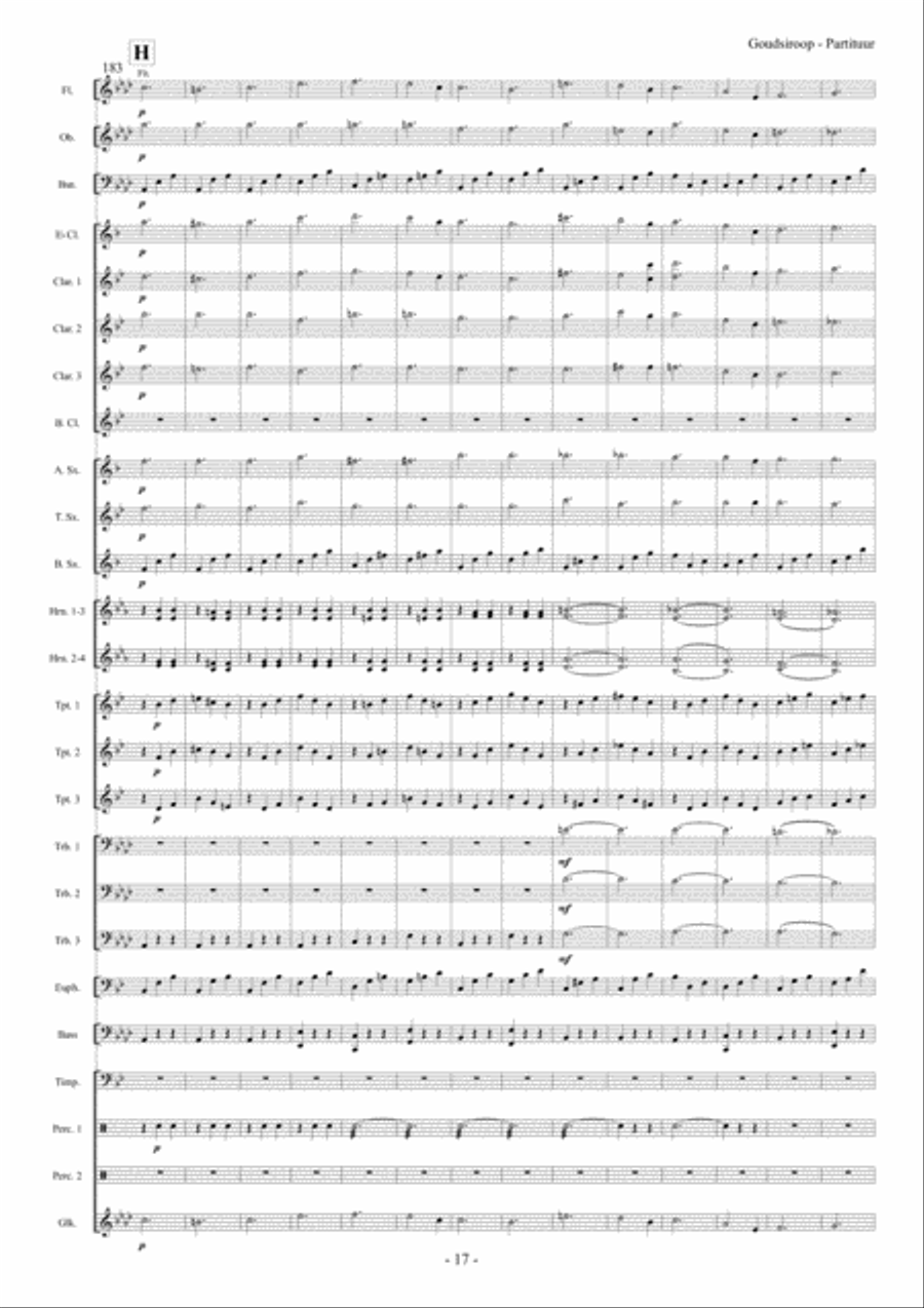 Goudsiroop Goudsiroop Concert Band scores gallery preview page 18