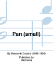 Pan (small)