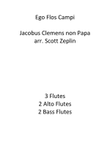Ego Flos Campi