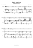 Panis Angelicus