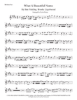 What A Beautiful Name mini preview