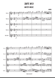 Water music 1st movement - Flute quartet mini preview