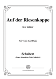 Schubert-Auf der Riesenkoppe(On the Giant Peak),D.611,in c minor,for Voice&Piano