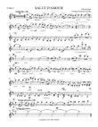 Salut D'Amour String Quartet