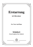 Schubert-Erstarrung,from 'Winterreise',Op.89(D.911) No.4,in b flat minor,for Voice&Piano mini preview