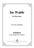 Schubert-Im Walde,Op.93 No.1,in b flat minor,for Voice&Piano mini preview