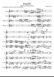 SURQUILLO for flute quartet