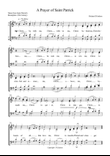 A Prayer of Saint Patrick