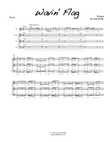 Wavin' Flag (coca-cola Celebration Mix)
