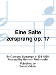Eine Saite zersprang op. 17