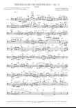Tristezas de Um Violoncelo, Op. 13