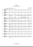 Waltz from the 'Serenade for Strings' by Tchaikovsky