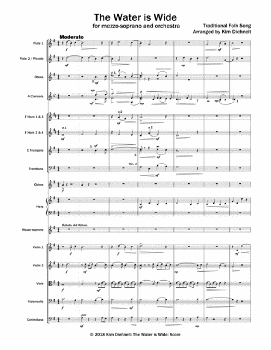 The Water is Wide for mezzo-soprano and orchestra (Arr. Diehnelt) - SCORE Full Orchestra scores gallery preview page 3