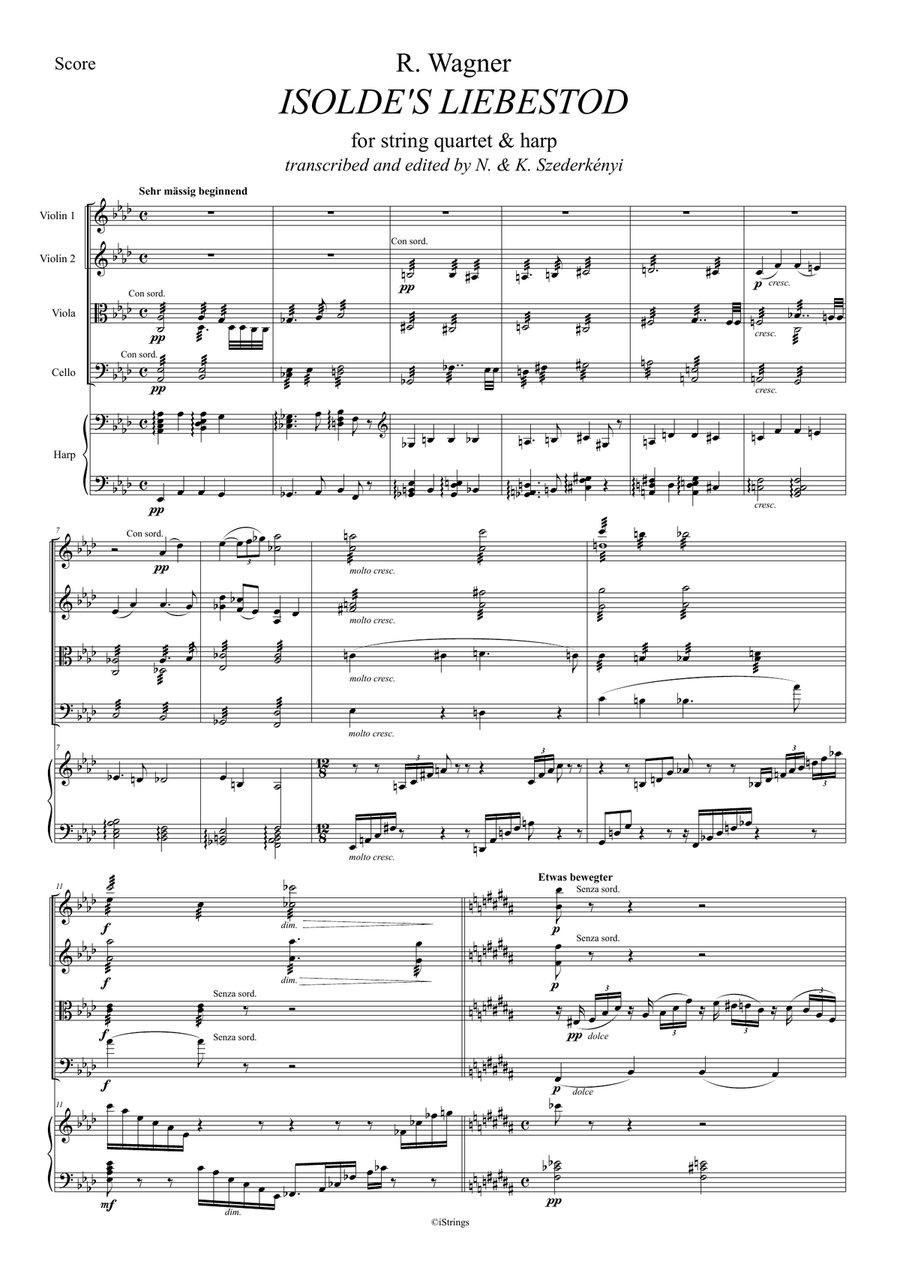 Isolde's Liebestod Isolde's Liebestod Chamber Orchestra scores gallery preview page 2