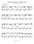 Turkey in the Straw - Lullaby Style // Double Strung Harp Arrangement