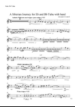 Tuba Duet with Brass Band 