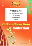 Voluntary I