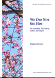 We Did Not See Him
