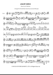 Angry Birds Theme