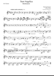 Suor Angelica - Intermezzo