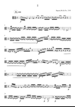 SUITE N ° 2 FOR VIOLA DE ARCO SOLO