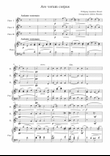 Ave verum corpus（Wolfgang Amadeus Mozart／ Arrange songs trio choir into works for three flute