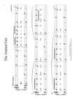 The Animal Fair (arr. Christopher Hussey)
