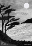 Mr. Moon