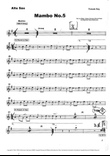 Mambo No. 5 (a Little Bit Of...)