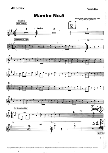 Mambo No. 5 (a Little Bit Of...)