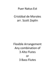 Puer Natus Est