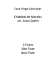 Ecce Virgo Concipiet