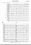 Scarborough Fair (for Junior String Ensemble)