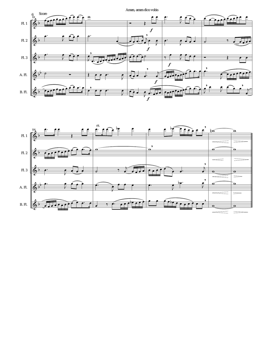 Amen Amen dico vobis (Truly truly I say to you) for flute quintet Flute Solo scores gallery preview page 6