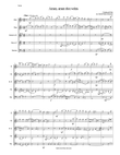 Amen Amen dico vobis (Truly truly I say to you) for wind quintet