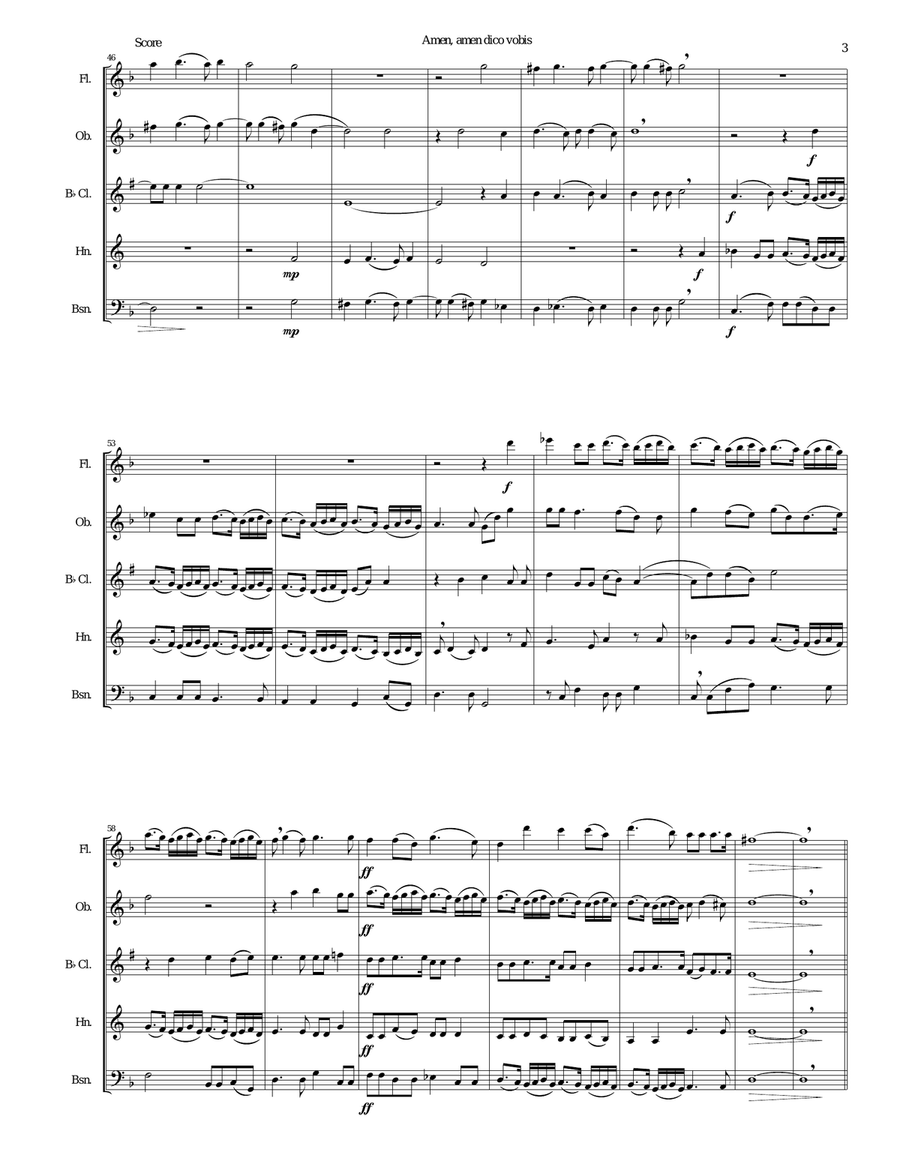 Amen Amen dico vobis (Truly truly I say to you) for wind quintet Woodwind Quintet scores gallery preview page 3