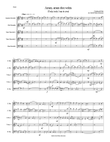 Amen Amen dico vobis (Truly truly I say to you) for recorder quintet