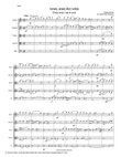 Amen Amen dico vobis (Truly truly I say to you) for string quintet