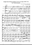 Adagio from String Symphony No.8 in D major, MWV N8 for Clarinet Quartet