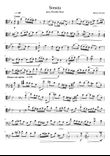 Sonata para Double Bass
