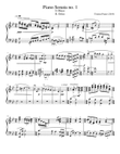 Piano Sonata no. 1: G minor. 2nd Movement: Dolce