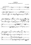 Cadenza for Bach's Brandenbourg Concerto No 3