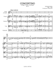 Concertino Op.11