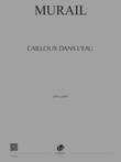 Cailloux dans l'eau