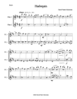 Harlequin Duo (Duetto d'Arlecchino) for 2 flutes mini preview