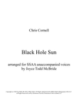 Black Hole Sun