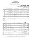 Mission: Impossible Theme from the Paramount Television Series MISSION: IMPOSSIBLE