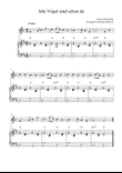 Alle Vögel sind schon da (All the Birds are there/ Spring Song)