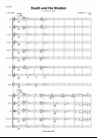 Death and the Maiden (Mvt.1) - Chamber Orchestra