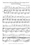 'Immer leiser wird mein Schlummer (Ever deeper down)' Op.105-2 in B-flat Major for Viola & Piano